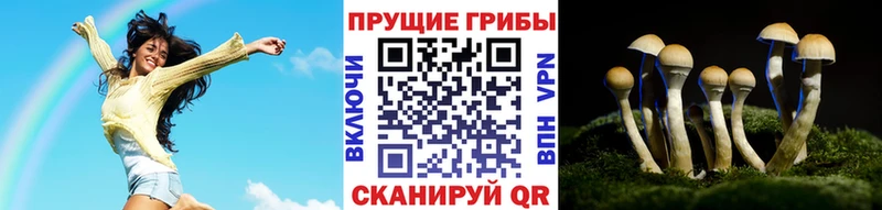 Псилоцибиновые грибы Magic Shrooms  Купить где  Сегежа 
