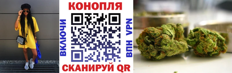 Бошки Шишки VHQ  Купить где  Сегежа 